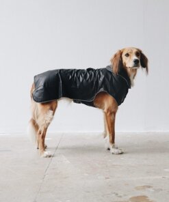 Dog wearing MonsBons Black Dog Raincoat while standing