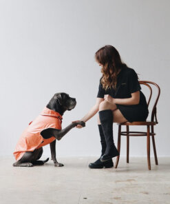 Dog wearing MonsBons OrangeDog Raincoat while shaking hands with her human